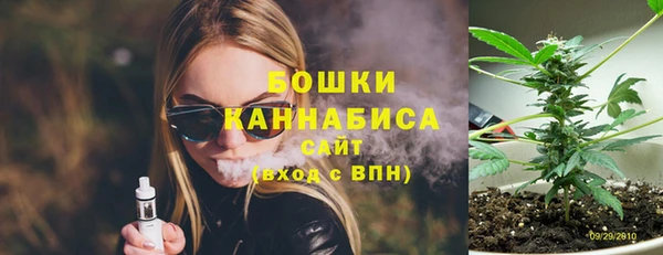 прущие грибы Белокуриха