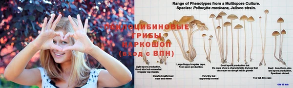 а пвп мука Беломорск