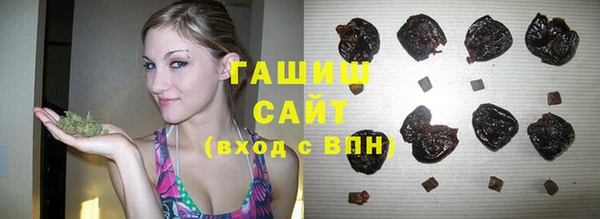 прущие грибы Белокуриха