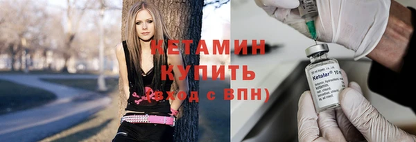 прущие грибы Белокуриха