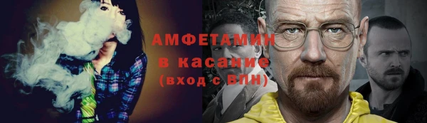прущие грибы Рославль