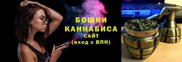 прущие грибы Белокуриха