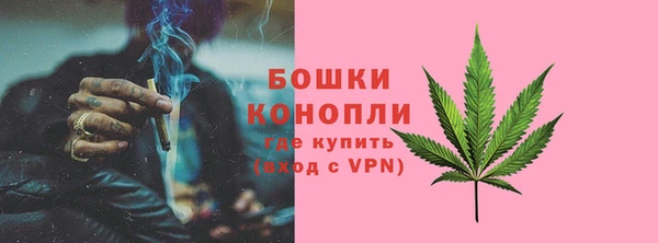 прущие грибы Белокуриха
