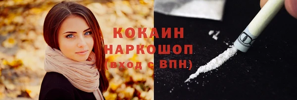 прущие грибы Белокуриха
