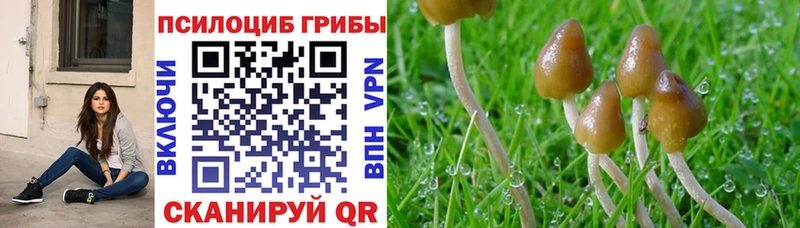 Псилоцибиновые грибы Magic Shrooms  Трубчевск 
