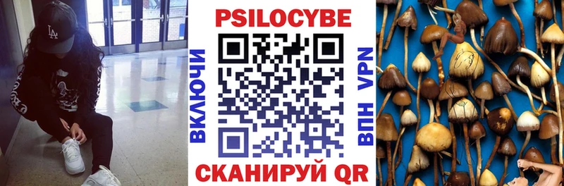 Псилоцибиновые грибы Psilocybine cubensis Трубчевск