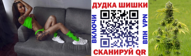 Бошки марихуана конопля Трубчевск